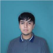 Profesor de inglés con experiencia en clases virtuales